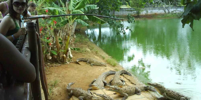 Book the best excursions in Cuba : Seatour Hotelcuba com